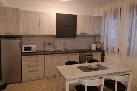apartmani zlatibor planina apartman lovac 6