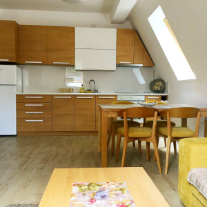 apartmani zlatibor planina apartman lovac 10