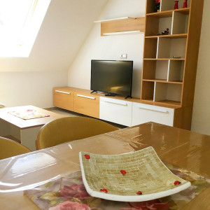 apartmani zlatibor planina apartman lovac 107