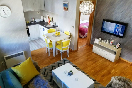 apartmani zlatibor planina apartman andric2