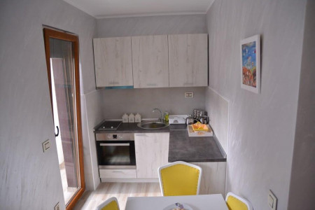 apartmani zlatibor planina apartman andric4