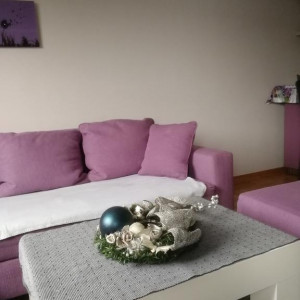 apartmani zlatibor planina apartman marjela2