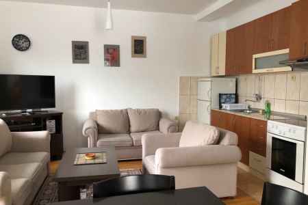 apartmani zlatibor planina apartman casa vostra 19