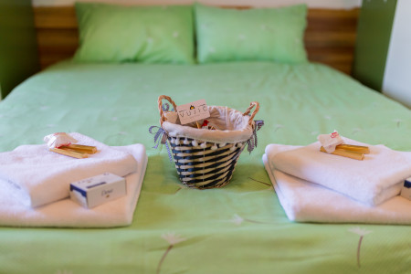 apartmani zlatibor planina apartman vujic5