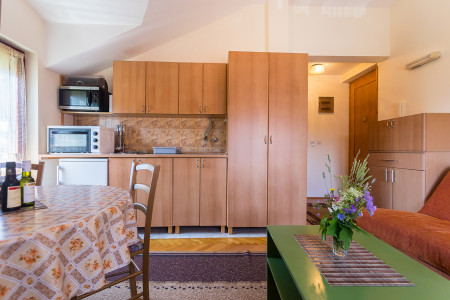 apartmani zlatibor planina apartman vujic8