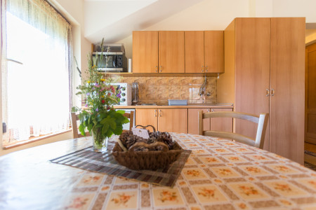 apartmani zlatibor planina apartman vujic9