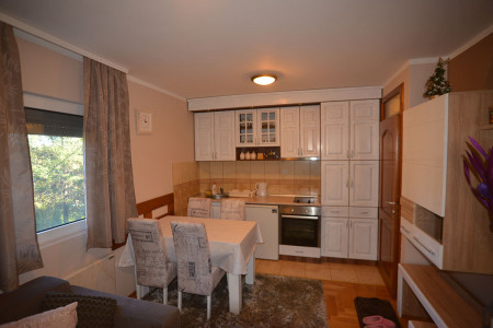 apartmani zlatibor planina apartman lucky3