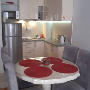 apartmani zlatibor planina apartman nena binis13