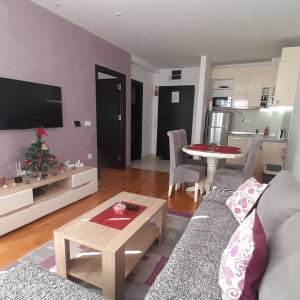 apartmani zlatibor planina apartman nena binis15