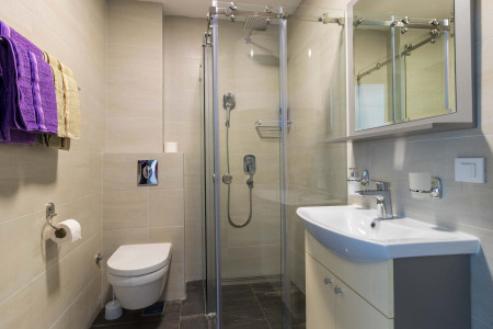 apartmani zlatibor planina apartman nena binis9