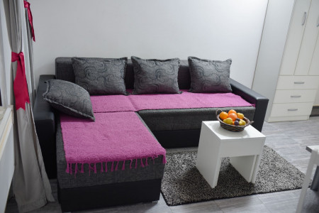 apartmani zlatibor planina apartman maji 3