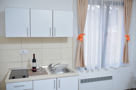 apartmani zlatibor planina apartman maji 4