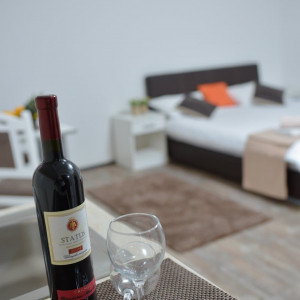 apartmani zlatibor planina apartman maji 43