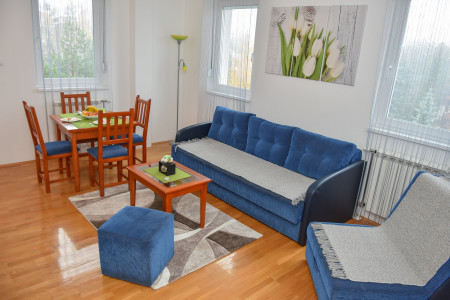 apartmani zlatibor planina apartman dimitrijevic 22