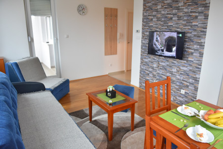 apartmani zlatibor planina apartman dimitrijevic 24