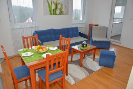apartmani zlatibor planina apartman dimitrijevic 26