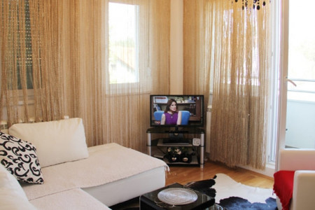 apartmani zlatibor planina apartman dimitrijevic 12