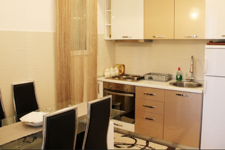 apartmani zlatibor planina apartman dimitrijevic 13