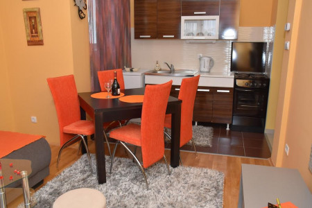 apartmani zlatibor planina apartman dimitrijevic 34