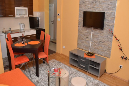 apartmani zlatibor planina apartman dimitrijevic 36