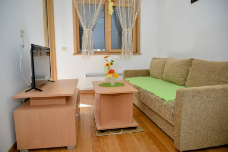 apartmani zlatibor planina apartman damjan 110