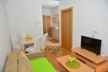apartmani zlatibor planina apartman damjan 121