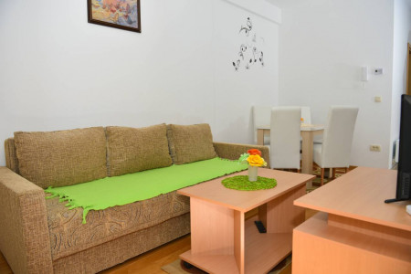 apartmani zlatibor planina apartman damjan 123