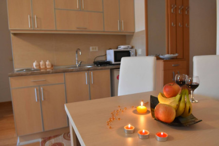 apartmani zlatibor planina apartman damjan 211