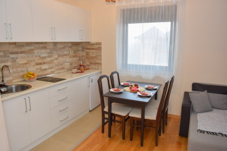 apartmani zlatibor planina apartman dimitrijevic m2