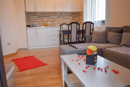 apartmani zlatibor planina apartman dimitrijevic m3