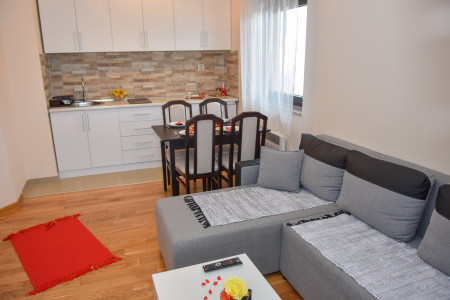 apartmani zlatibor planina apartman dimitrijevic m4