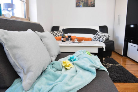 apartmani zlatibor planina apartman maxi dimitrijevic 12