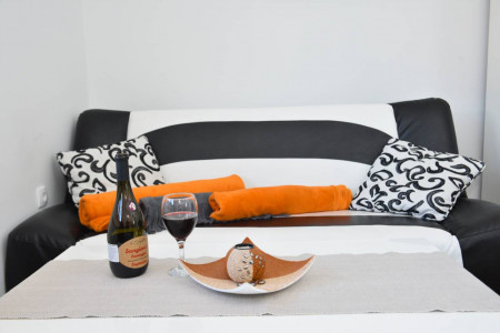 apartmani zlatibor planina apartman maxi dimitrijevic 19