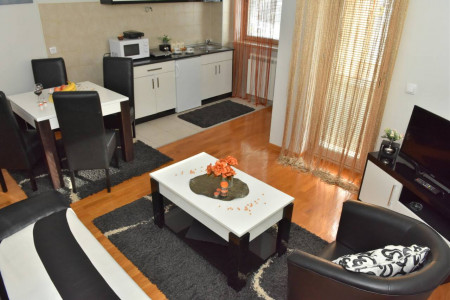 apartmani zlatibor planina apartman maxi dimitrijevic 210