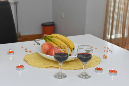 apartmani zlatibor planina apartman maxi dimitrijevic 28