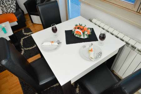 apartmani zlatibor planina apartman maxi dimitrijevic 316