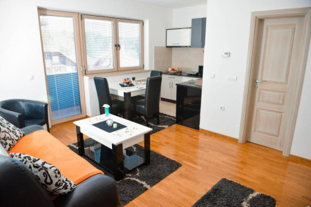 apartmani zlatibor planina apartman maxi dimitrijevic 34