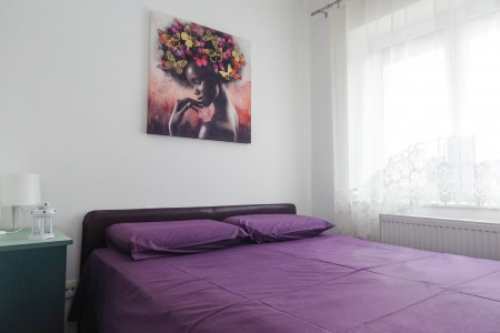 apartments zlatibor planina apartment zelena idila10