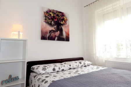 apartments zlatibor planina apartment zelena idila12