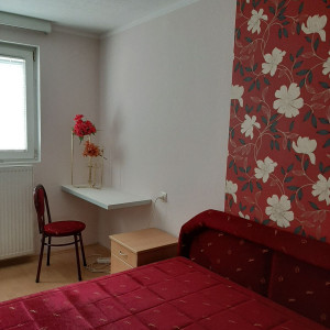 apartmani vrnjacka banja centar promenada apartman vila jankovic 113