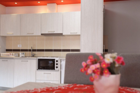 apartmani vrnjacka banja centar promenada apartman vila jankovic 32