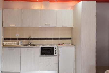 apartmani vrnjacka banja centar promenada apartman vila jankovic 33