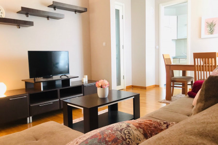 apartmani beograd centar apartman dream belville16