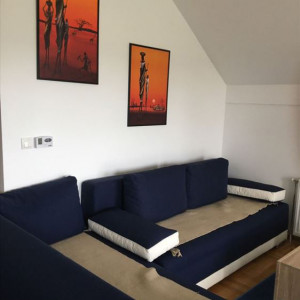 apartmani zlatibor planina apartman mitrovic14