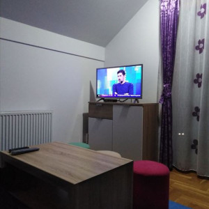 apartmani zlatibor planina apartman mitrovic3