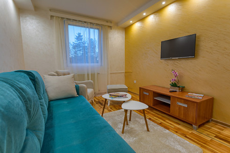 apartmani zlatibor planina apartman dabic 11014