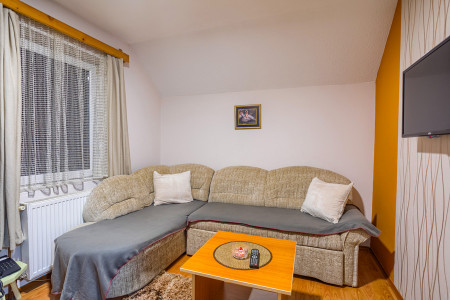 apartmani zlatibor planina apartman dabic 11214