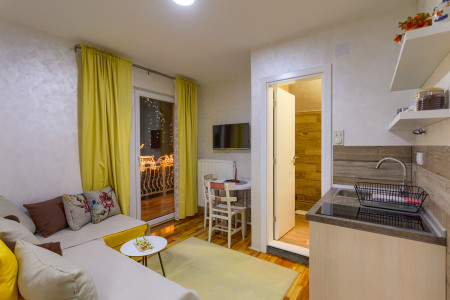 apartmani zlatibor planina apartman dabic 1132