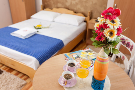 apartmani zlatibor planina apartman dabic 1143