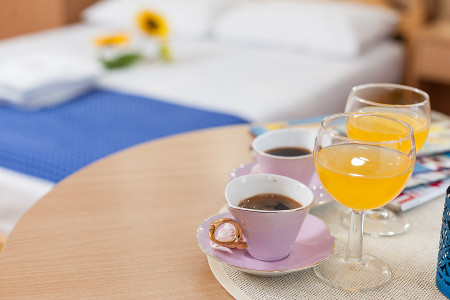 apartmani zlatibor planina apartman dabic 1144